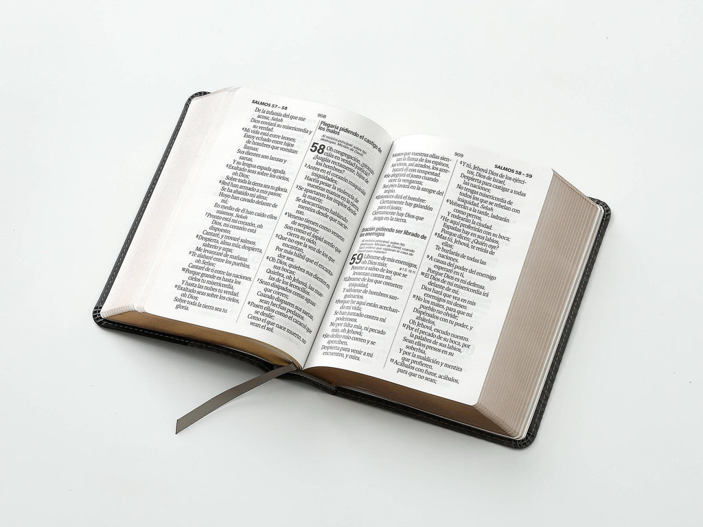 Biblia RVR60 Tamaño compacto Letra Grande negro