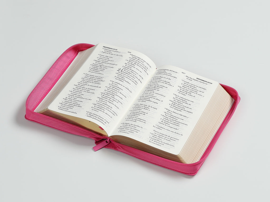 Biblia RVR60 portátil Letra Grande 11 puntos cierre fucsia