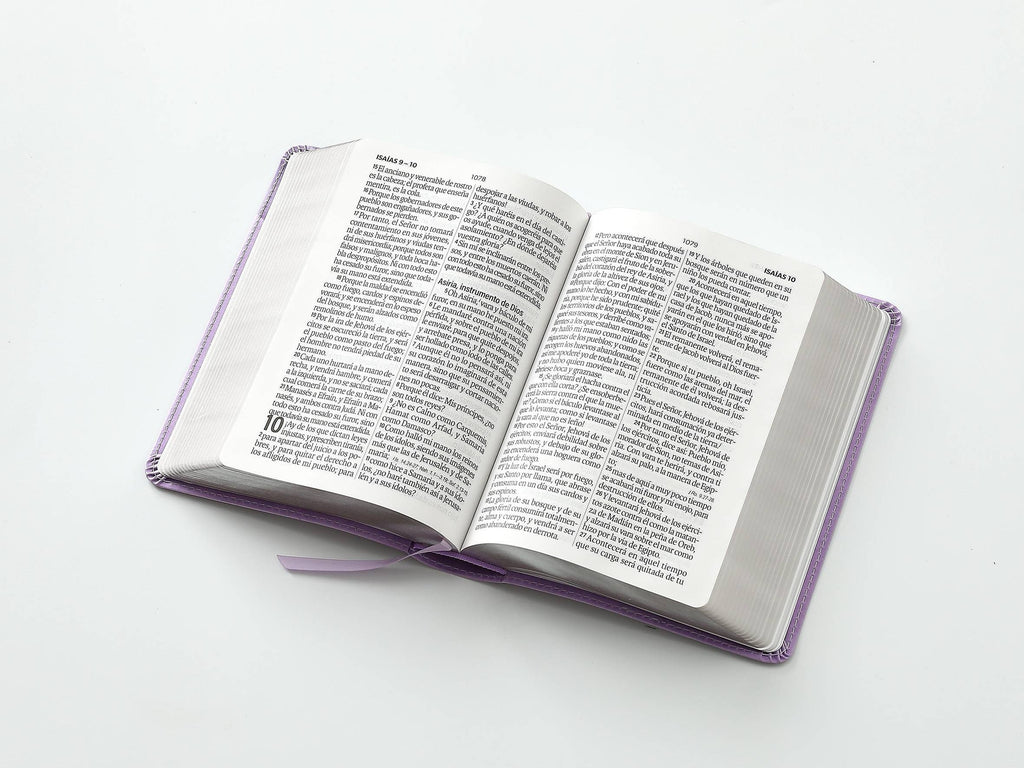 Biblia RVR60 tamaño compacto Letra Grande