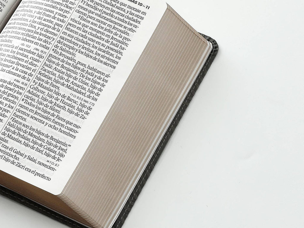 Biblia RVR60 Tamaño compacto Letra Grande negro