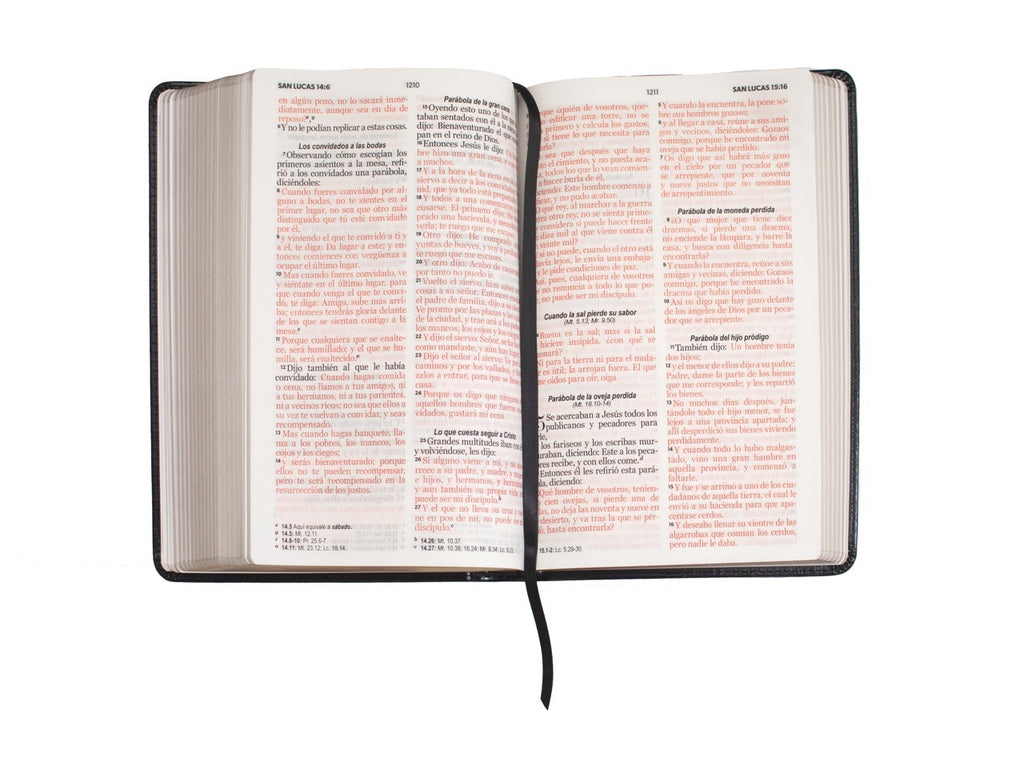 Biblia RVR60 Tamaño Manual Letra Grande café