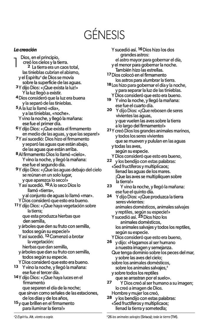 Biblia NVI Peninsular LG Rústica Luz Edición misionera