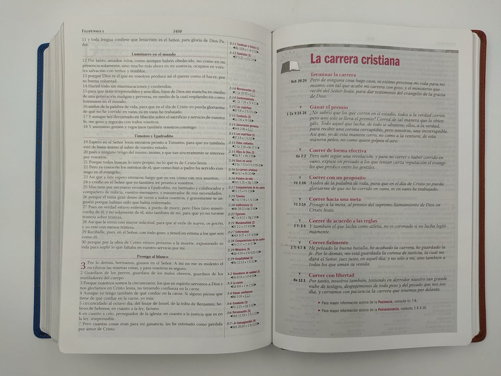 Biblia Thompson RVR60 para estudio biblico Dos Tonos