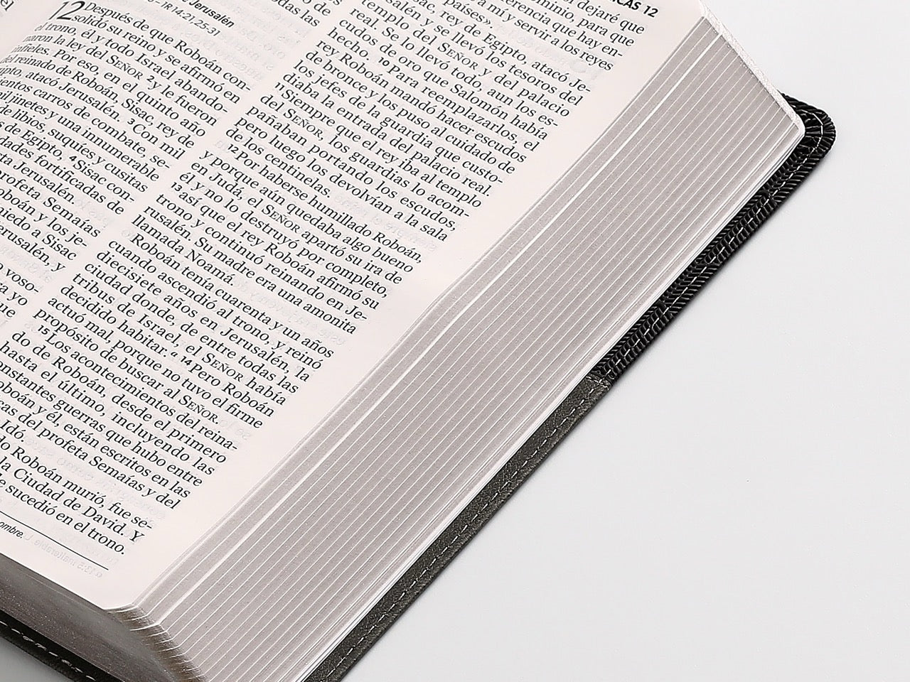 Biblia NVI Peninsular TAmaño manual letra grande negro