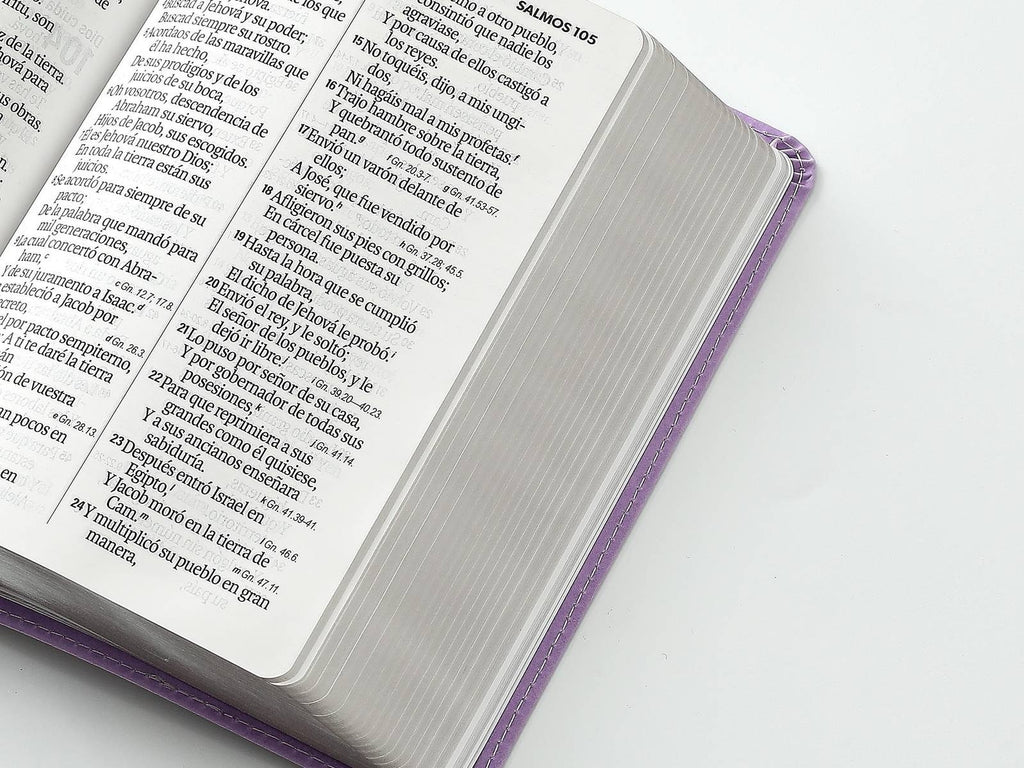 Biblia RVR60 tamaño compacto Letra Grande