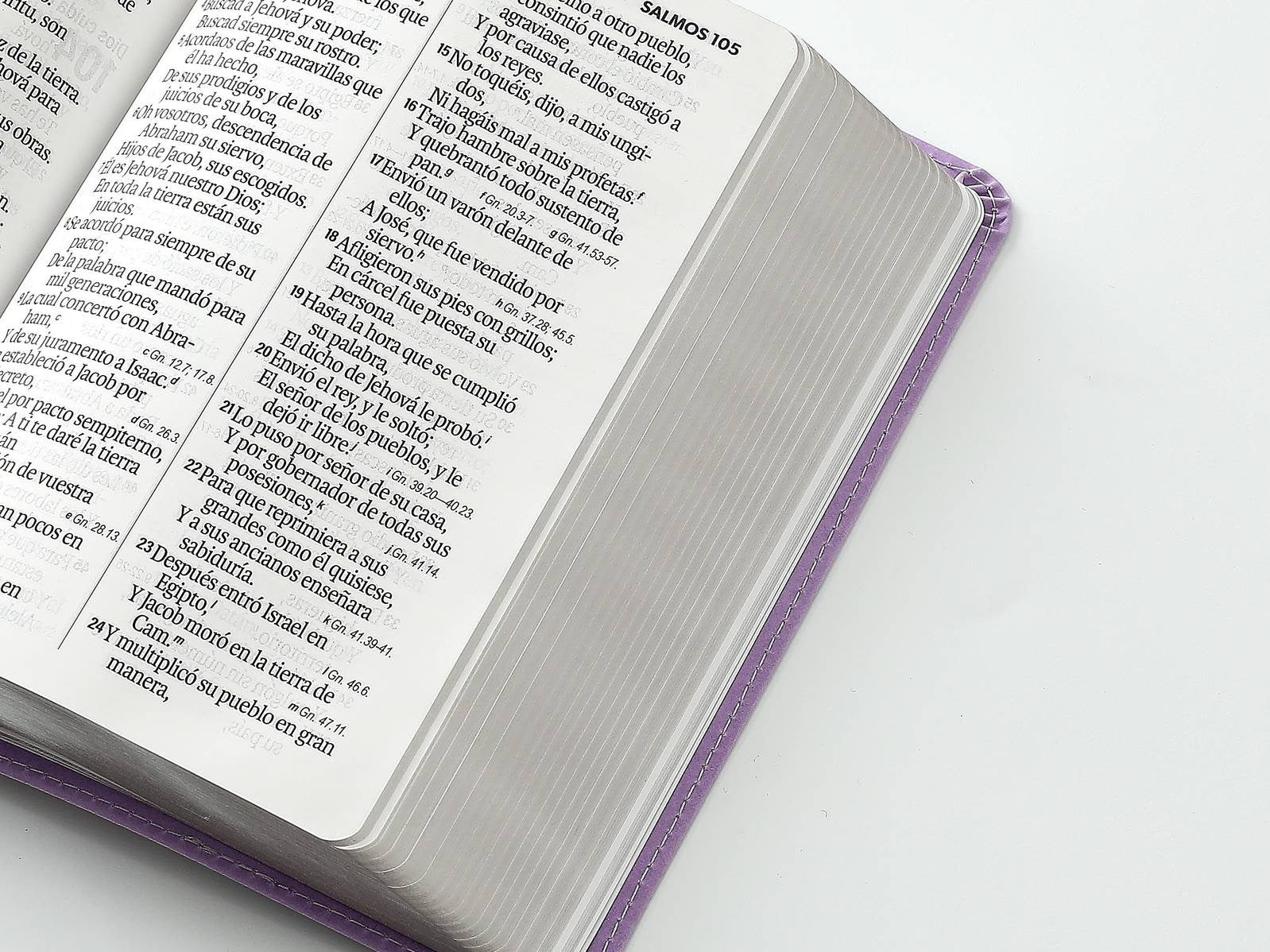 Biblia RVR60 tamaño compacto Letra Grande
