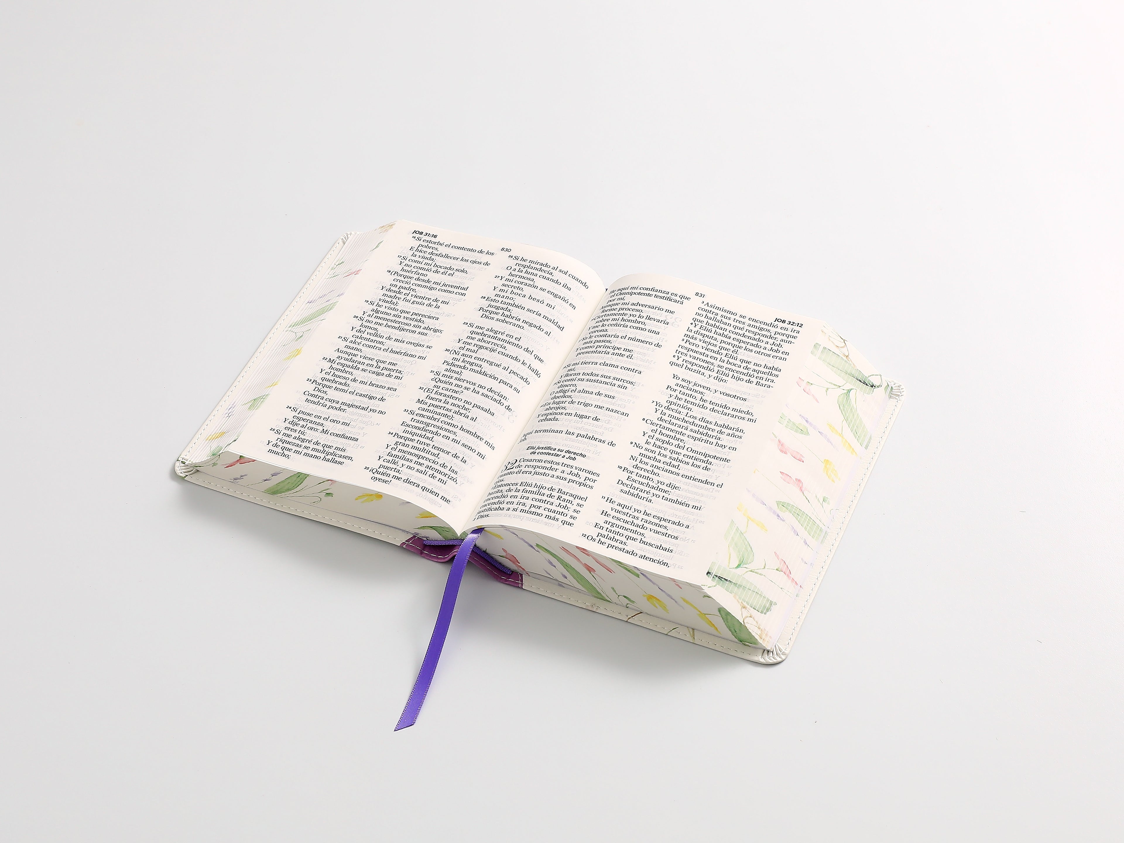 Biblia RVR60 portátil Letra Grande 11 puntos lila