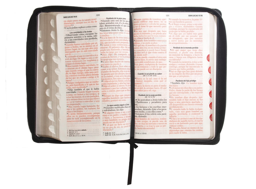 Biblia RVR60 Tamaño Manual Letra Grande negro con cierre indice