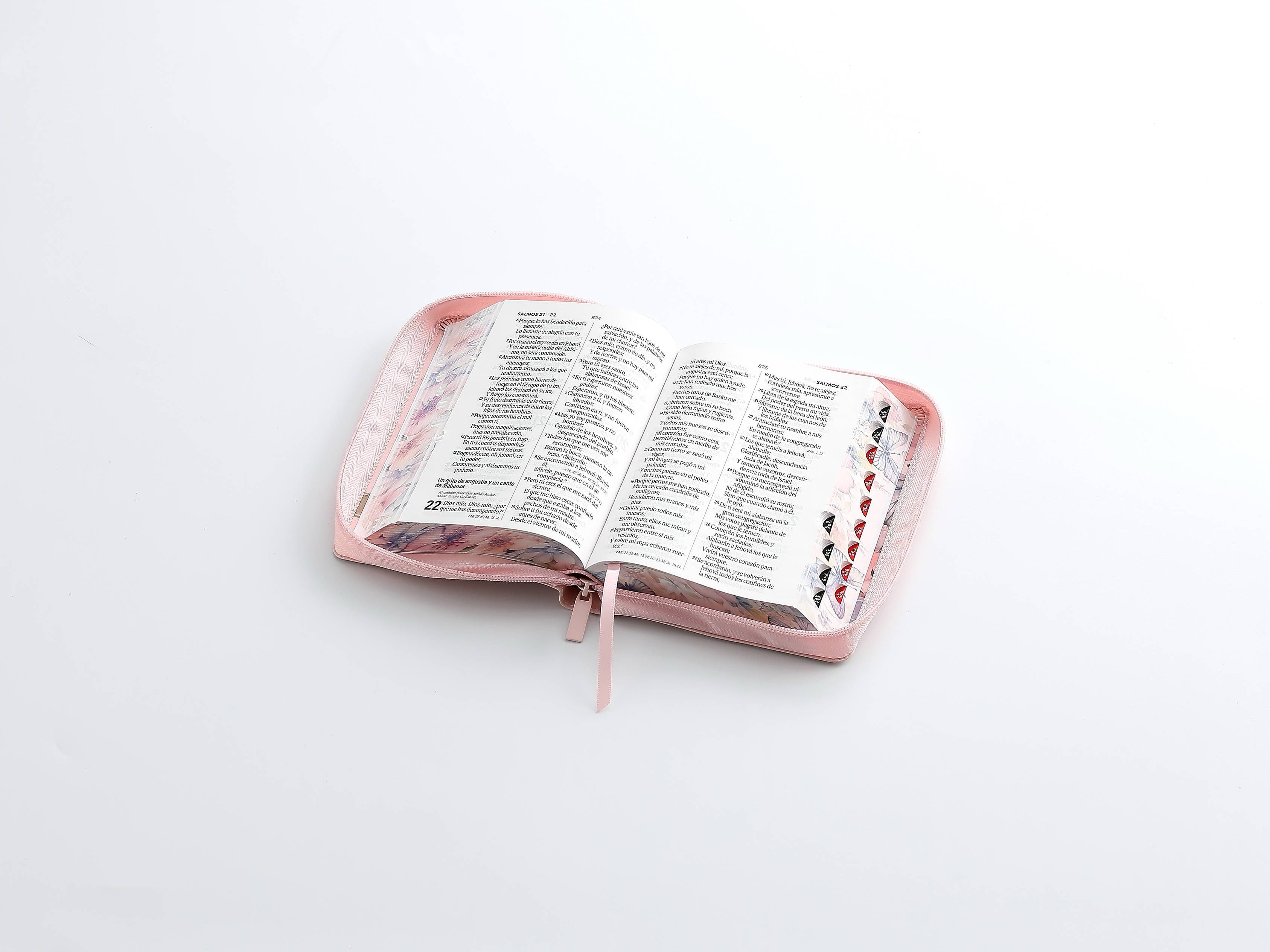 Biblia RVR60 Tamaño compacto Letra Grande 12 puntos rosa