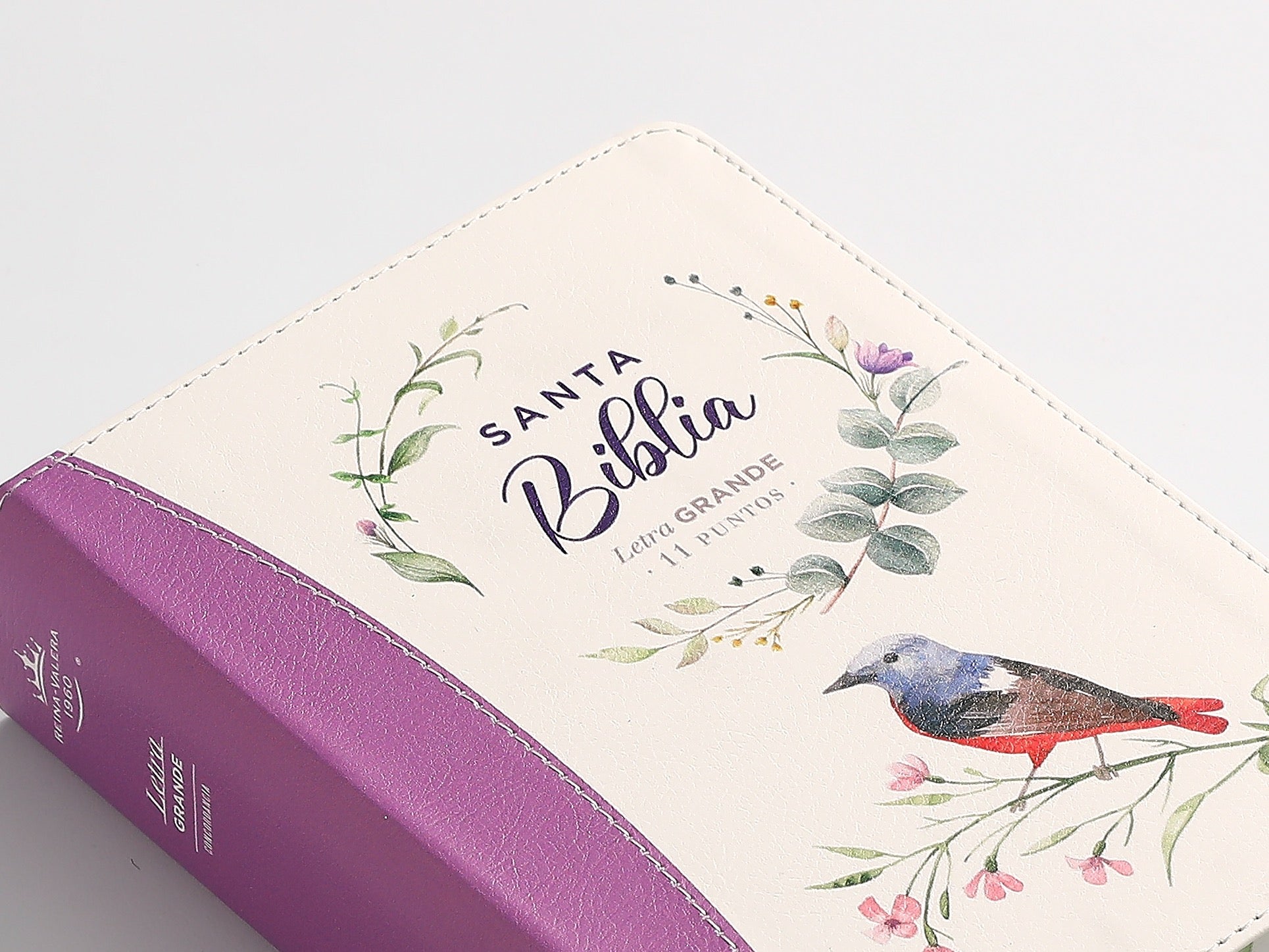 Biblia RVR60 portátil Letra Grande 11 puntos lila