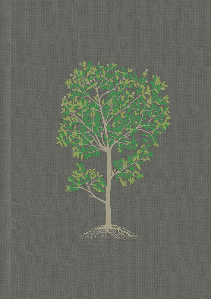 Biblia NTV de Estudio Diario Vivir Letra Grande Gris Tapa Dura de Tela