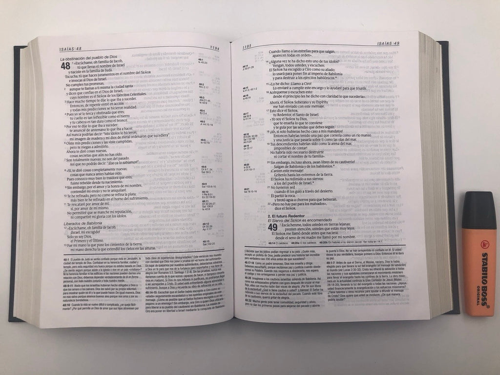 Biblia NTV de Estudio Diario Vivir Letra Grande Gris Tapa Dura de Tela