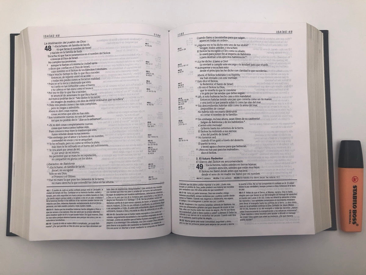 Biblia NTV de Estudio Diario Vivir Letra Grande Gris Tapa Dura de Tela