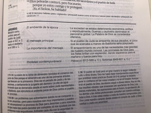 Biblia NTV de Estudio Diario Vivir Letra Grande Gris Tapa Dura de Tela