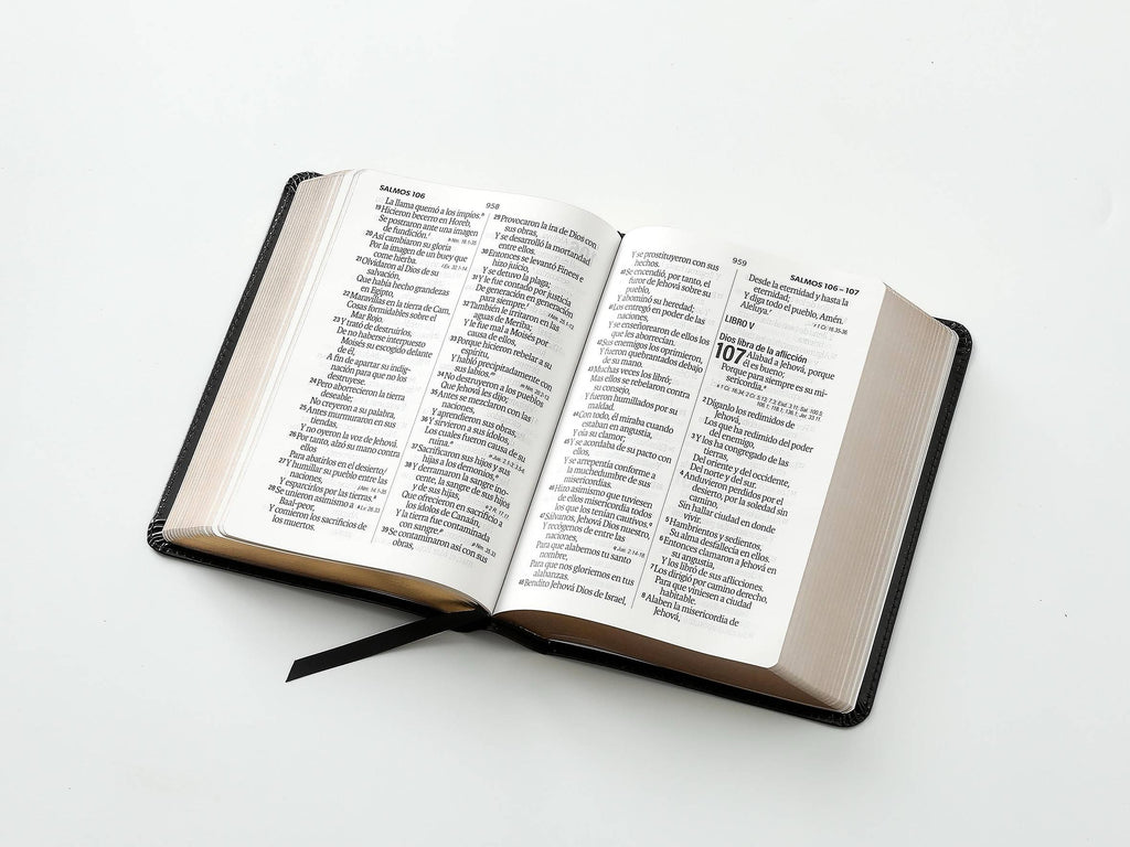 Biblia RVR60 tamaño compacto Letra Grande  negra