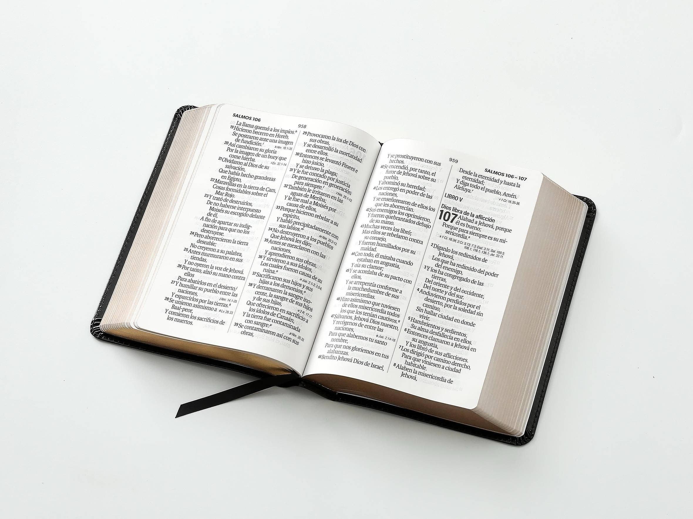 Biblia RVR60 tamaño compacto Letra Grande  negra