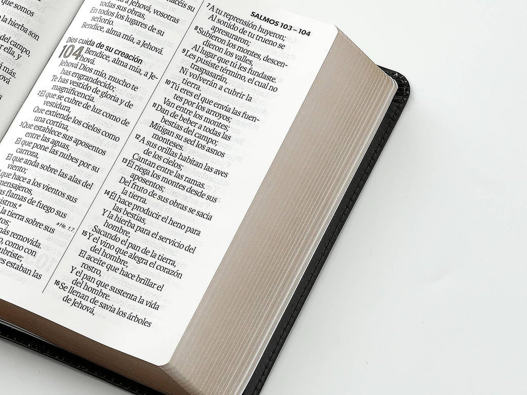 Biblia RVR60 tamaño compacto Letra Grande  negra
