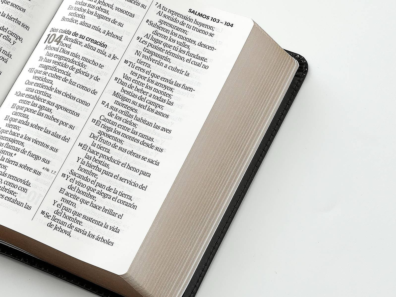 Biblia RVR60 tamaño compacto Letra Grande  negra