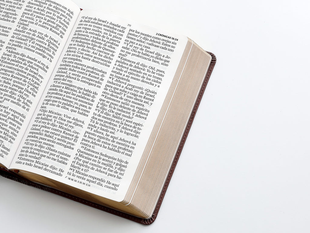 Biblia RVR60 Tamaño manual letra GIgante marron