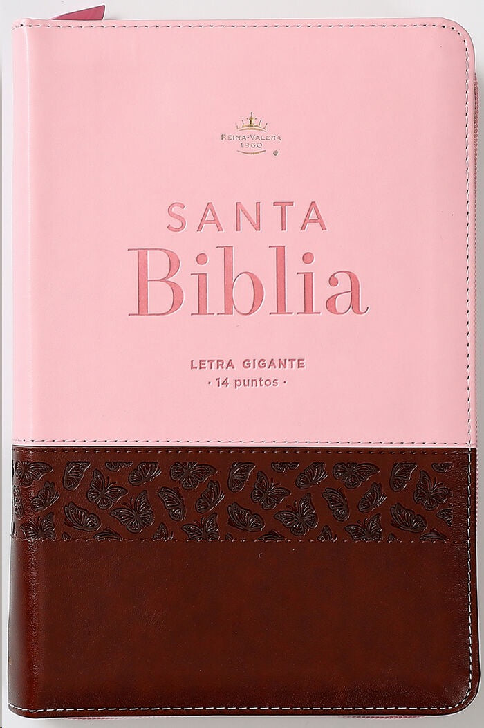 Biblia RVR60 TAmaño Manual letra Gigante