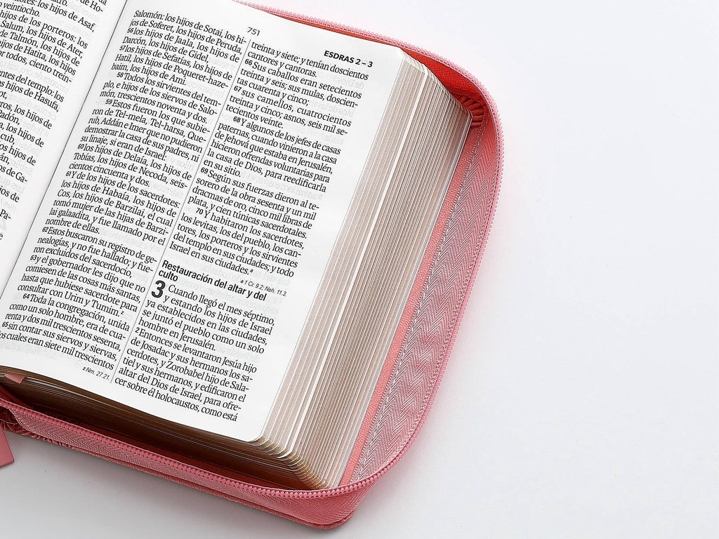 Biblia RVR60 Tamaño compacto Letra Grande 12 puntos