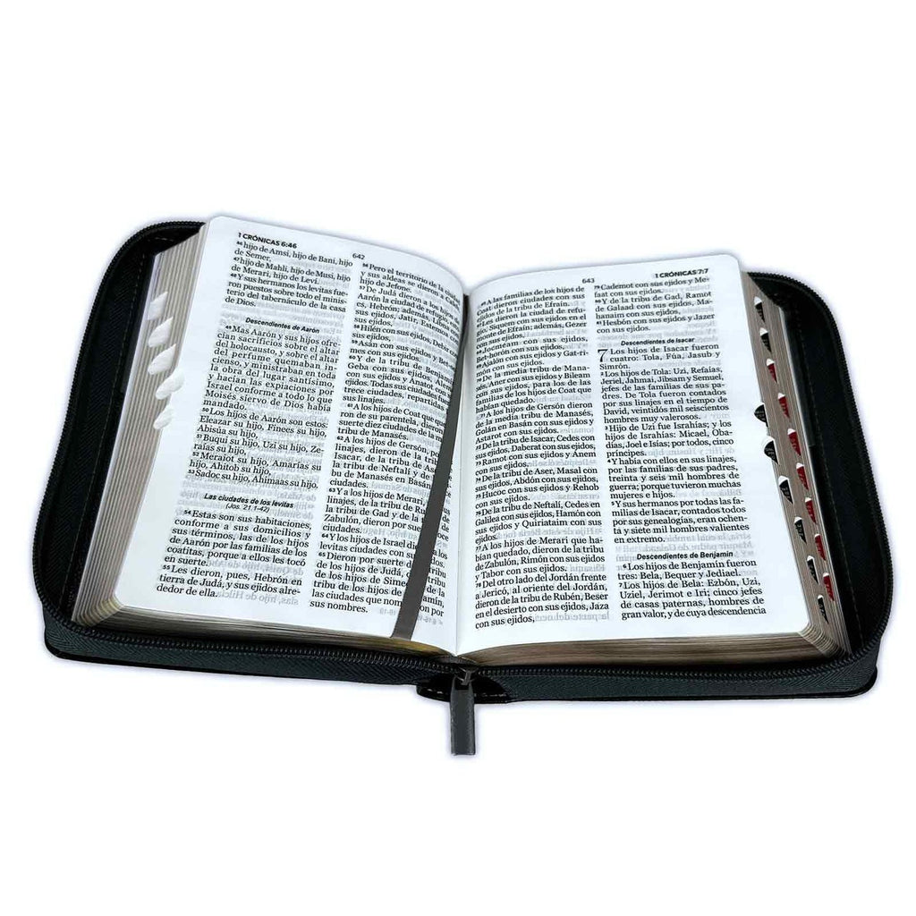 Biblia RVR60 portátil Letra Grande 11 puntos con cierre