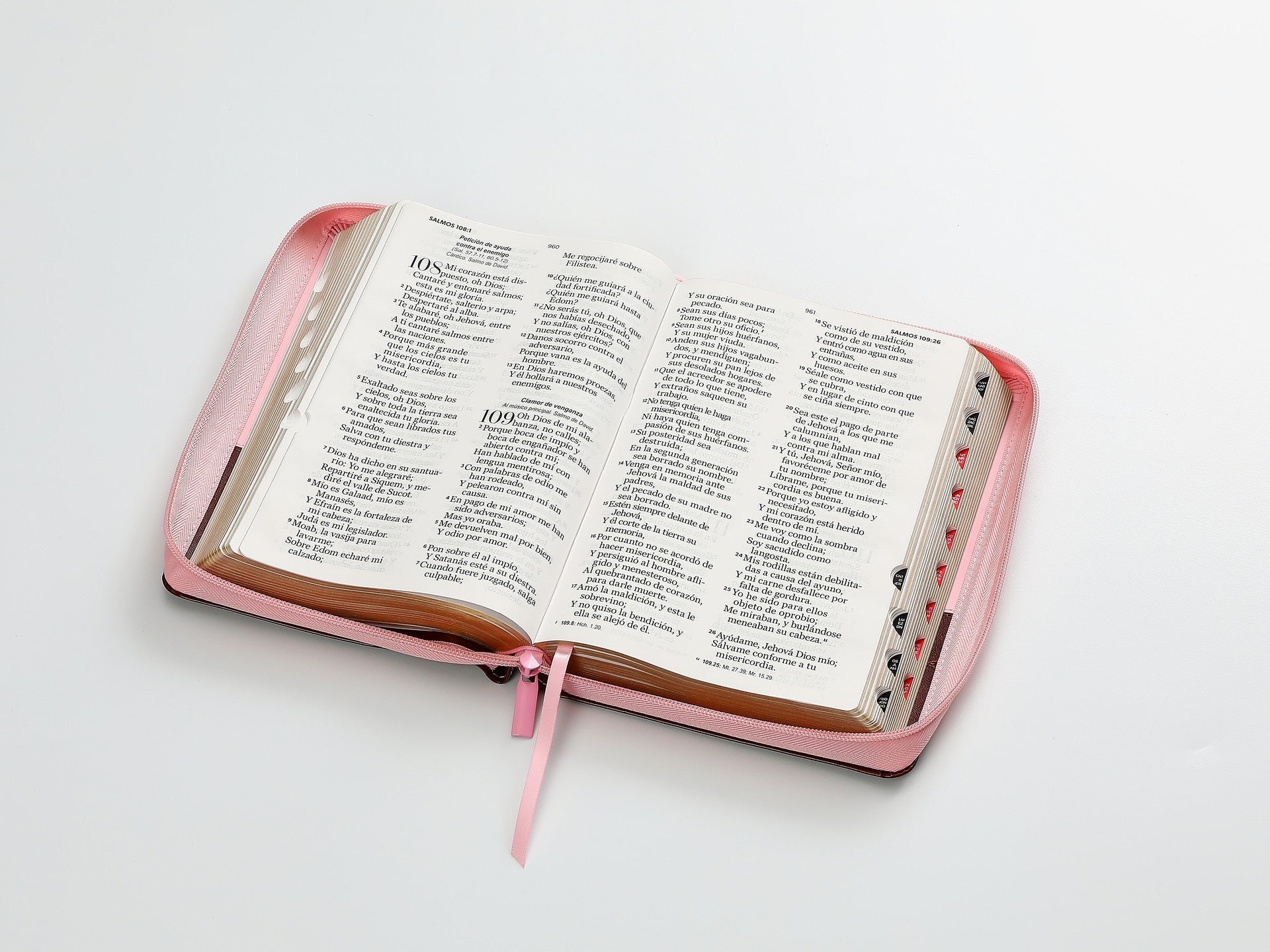Biblia RVR60 TAmaño Manual letra Gigante