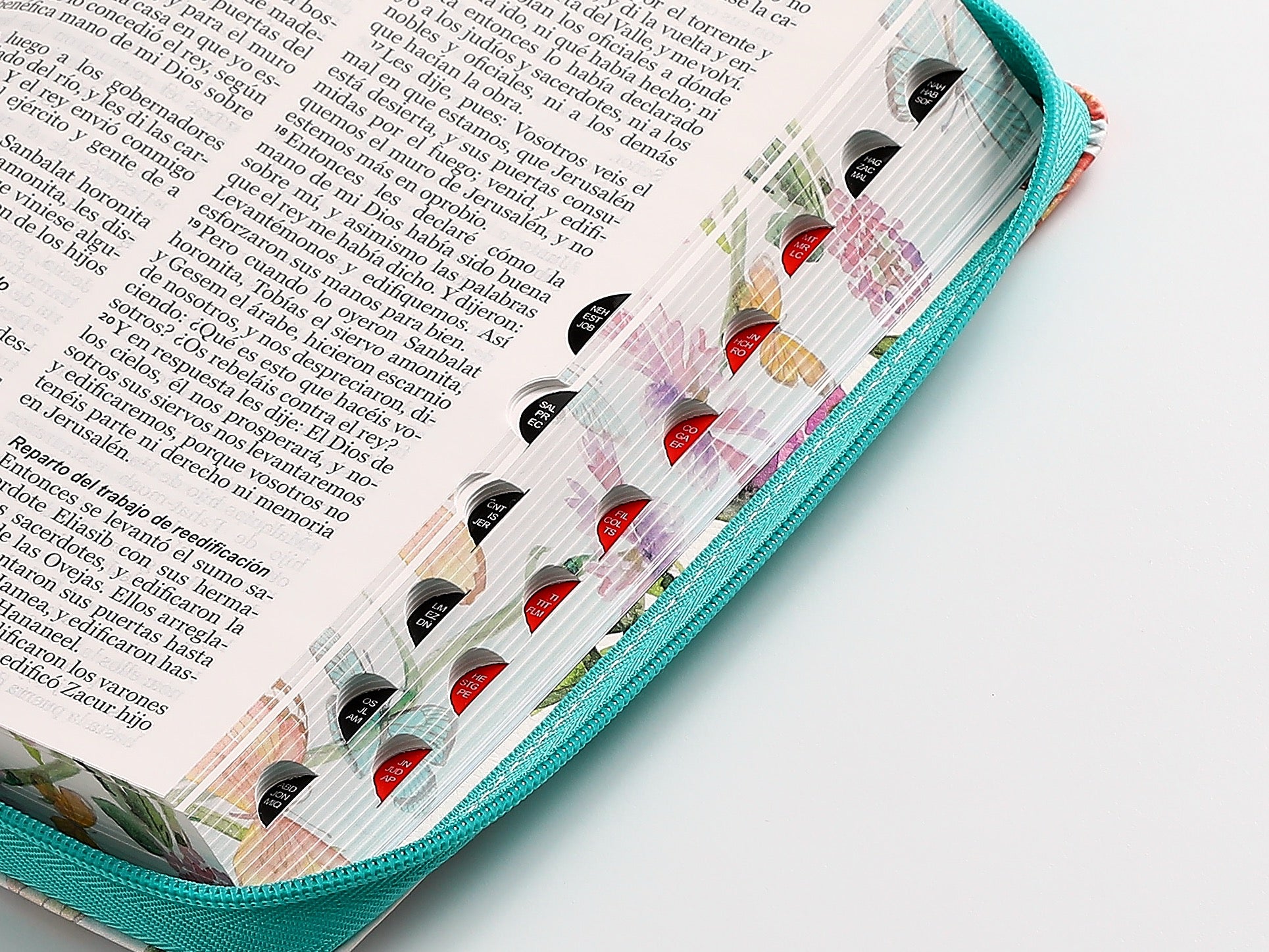 Biblia RVR60 Tamaño manual Letra Grande mariposa