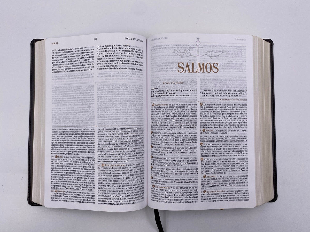 Biblia de Estudio Patrística café