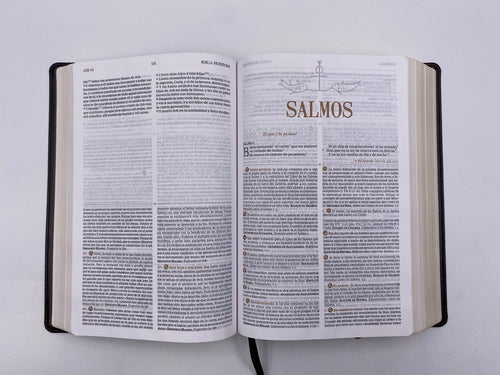 Biblia de Estudio Patrística café