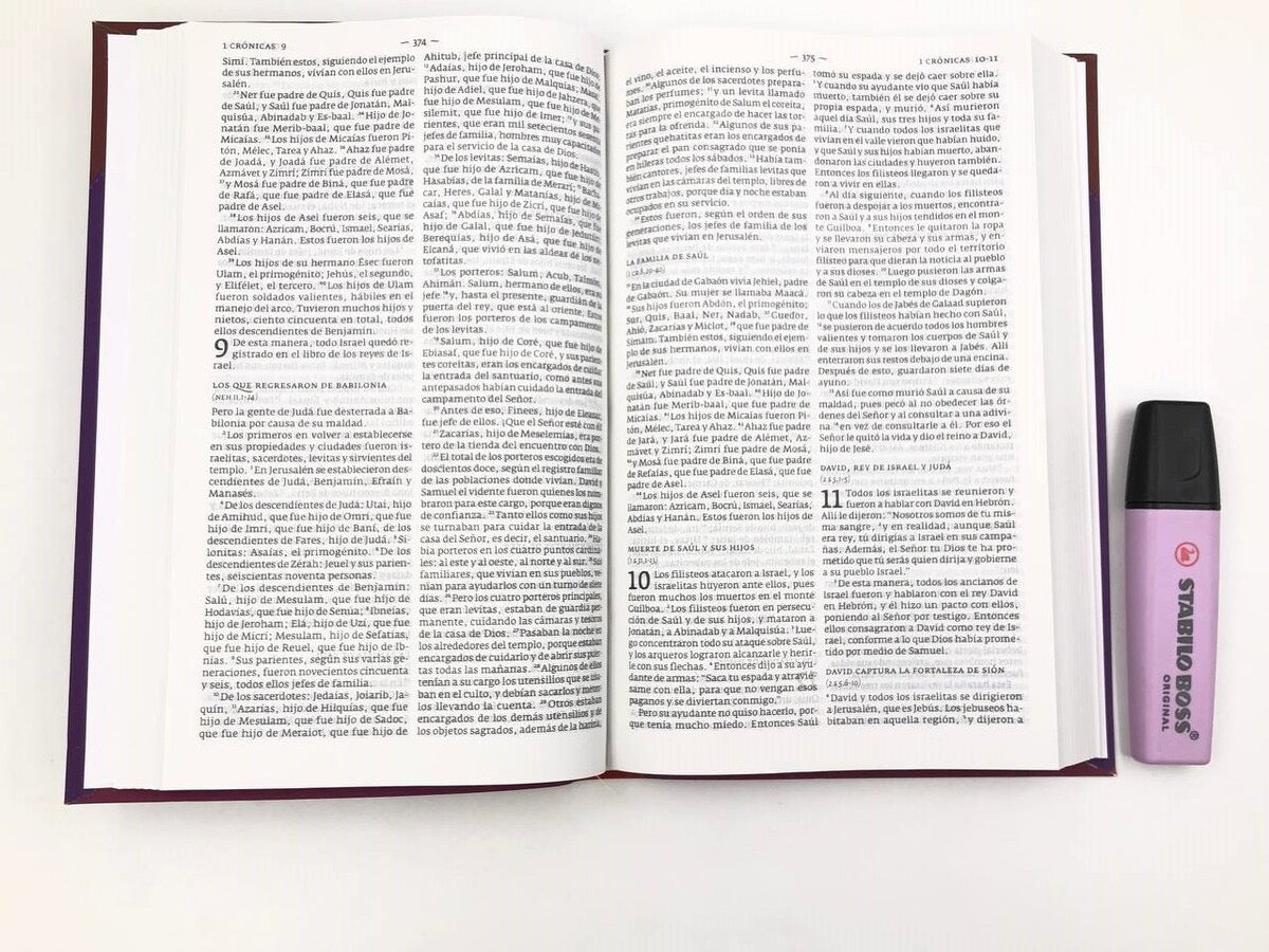 Biblia DHH tamaño Manual Granate