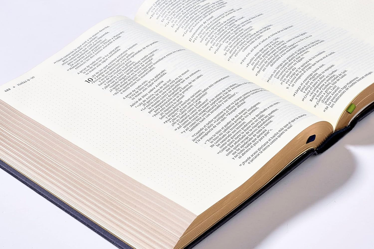Biblia NVI 2022 Edición Artística