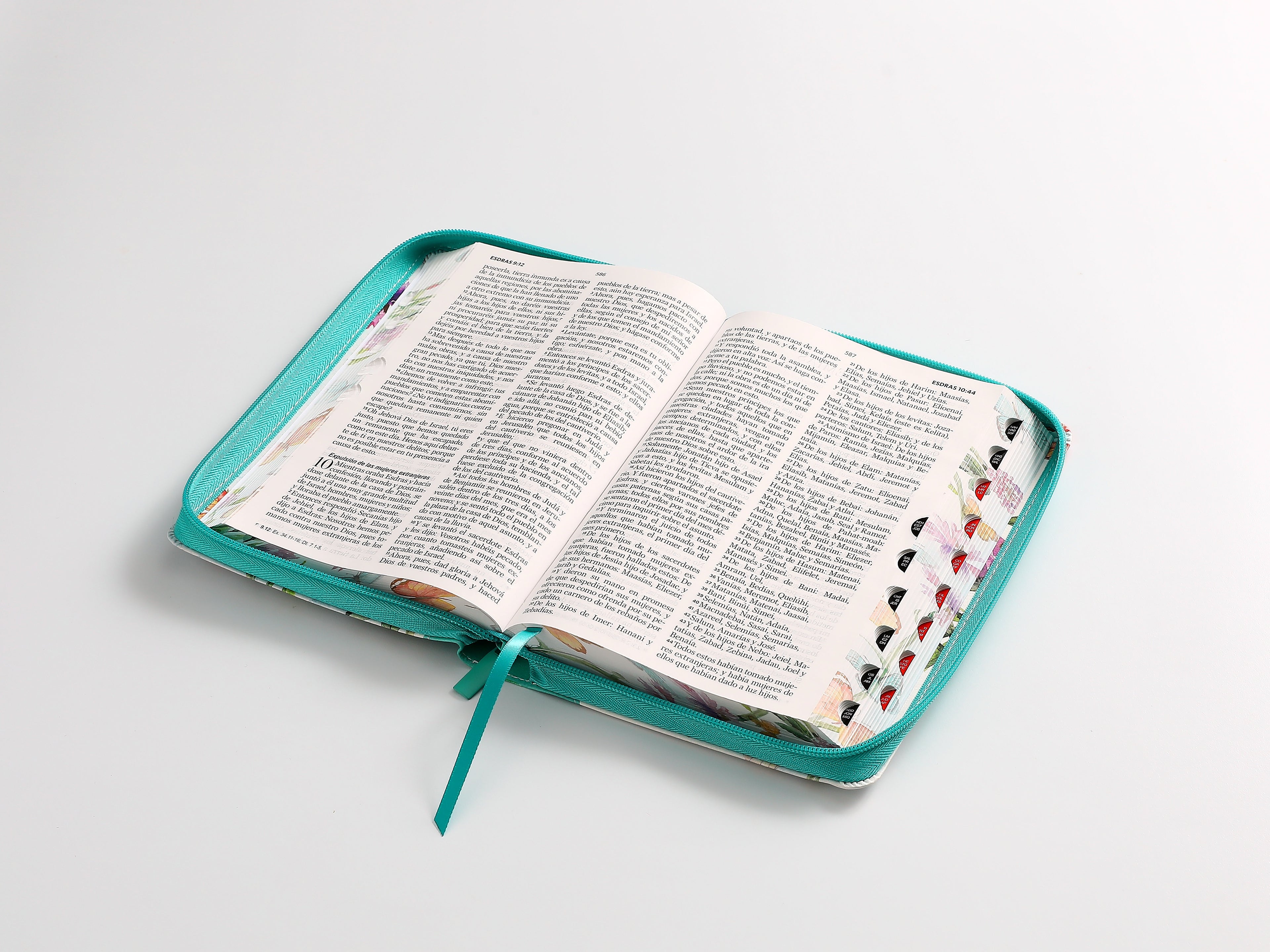 Biblia RVR60 Tamaño manual Letra Grande mariposa