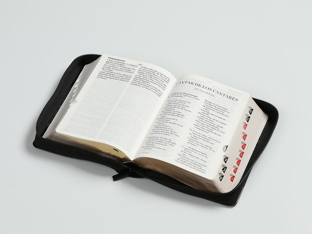 Biblia RVR60 portátil Letra Grande 11 puntos con Negro