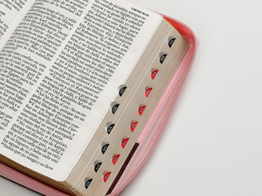 Biblia RVR60 TAmaño Manual letra Gigante