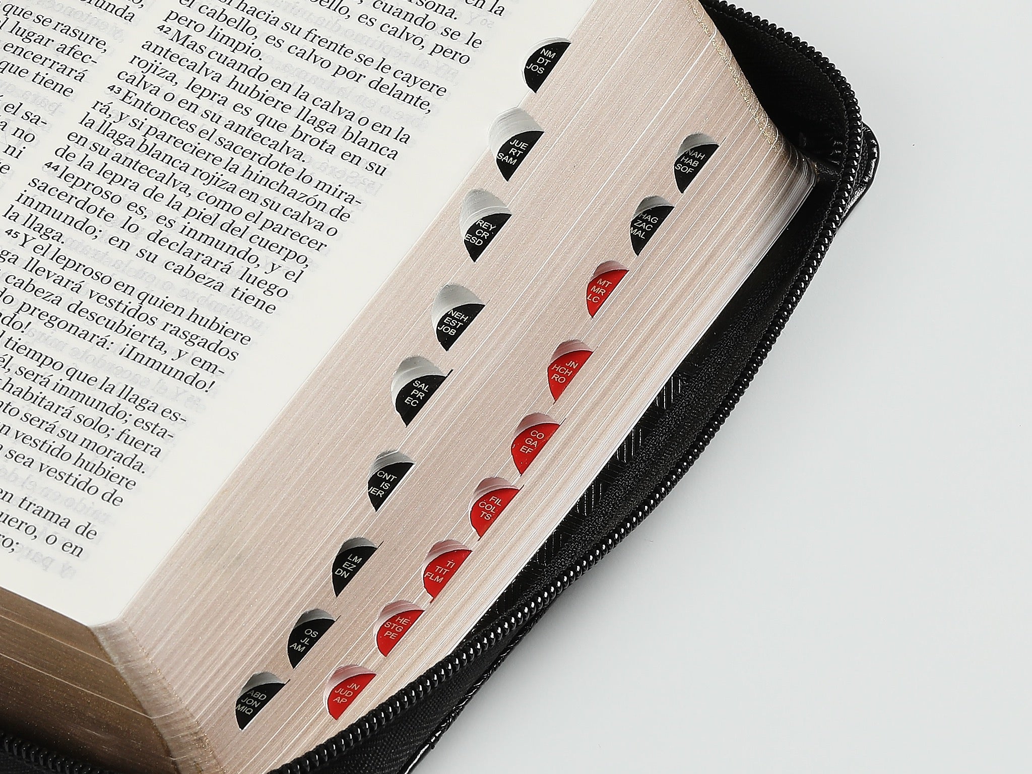 Biblia RVR60 portátil Letra Grande 11 puntos con Negro