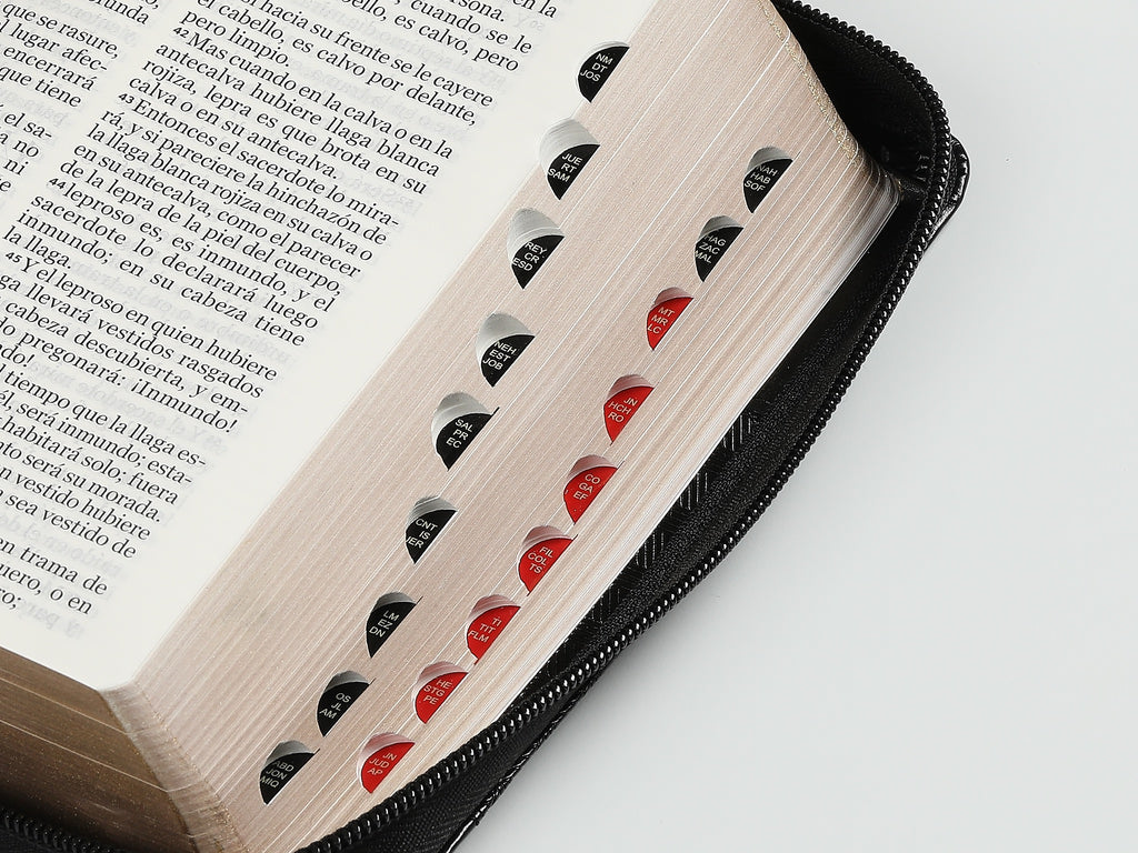 Biblia RVR60 portátil Letra Grande 11 puntos con Negro