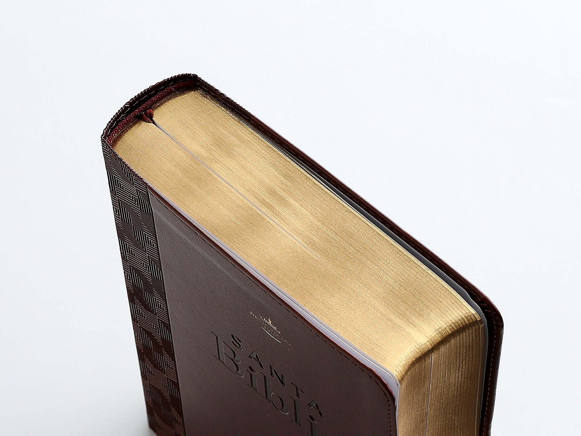 Biblia RVR60 Tamaño manual letra GIgante marron