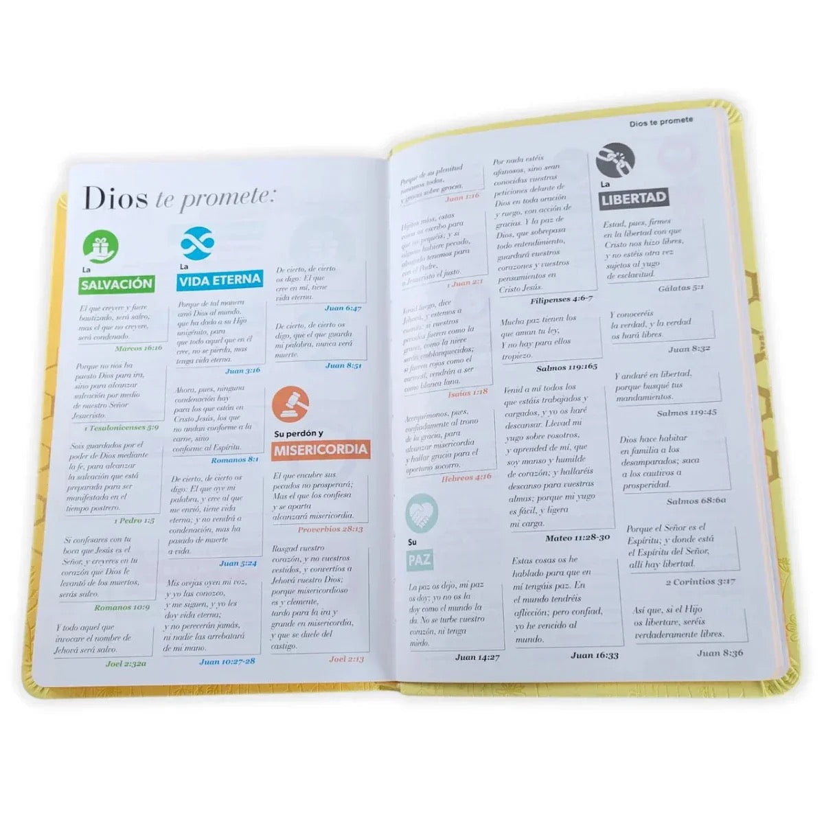 Biblia RVR60 Obsequios y premios AMARILLO
