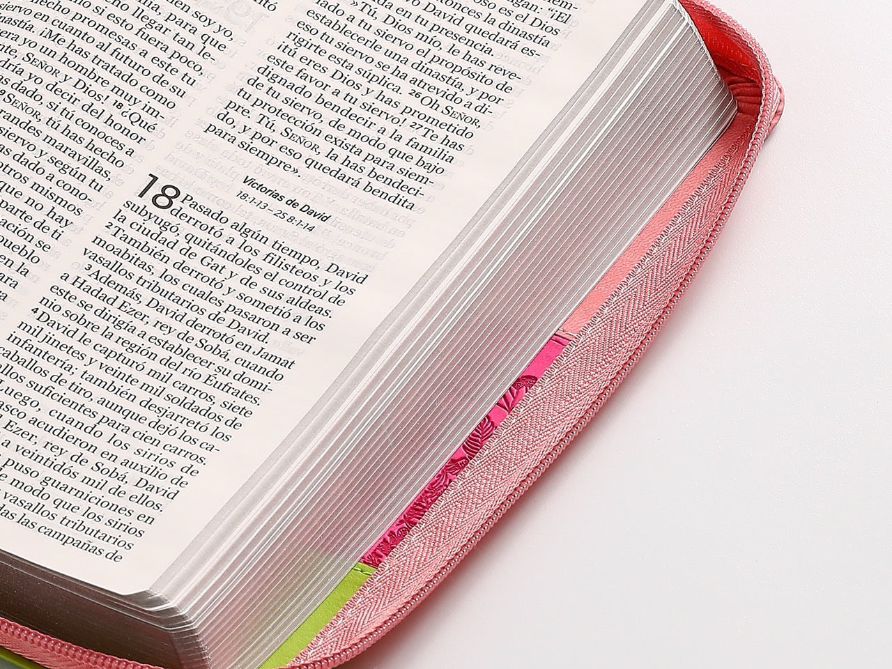 Biblia NVI Peninsular Tamaño Manual Letra Grande Tricolor Rosa