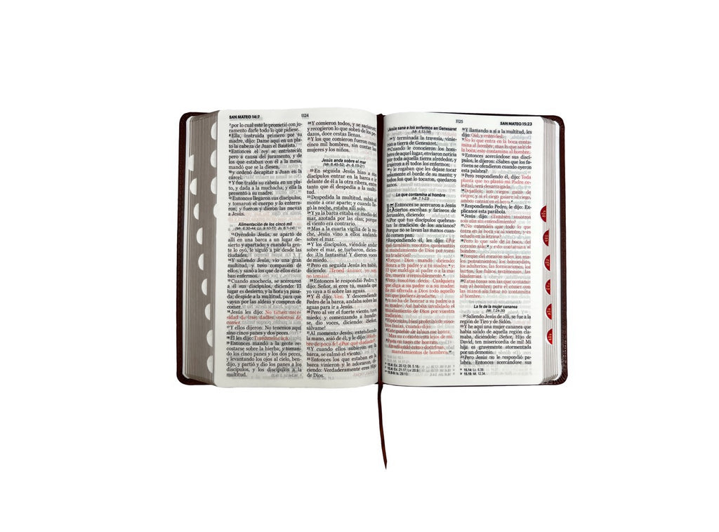 Biblia RVR60 Tamaño Manual Letra Grande indice café
