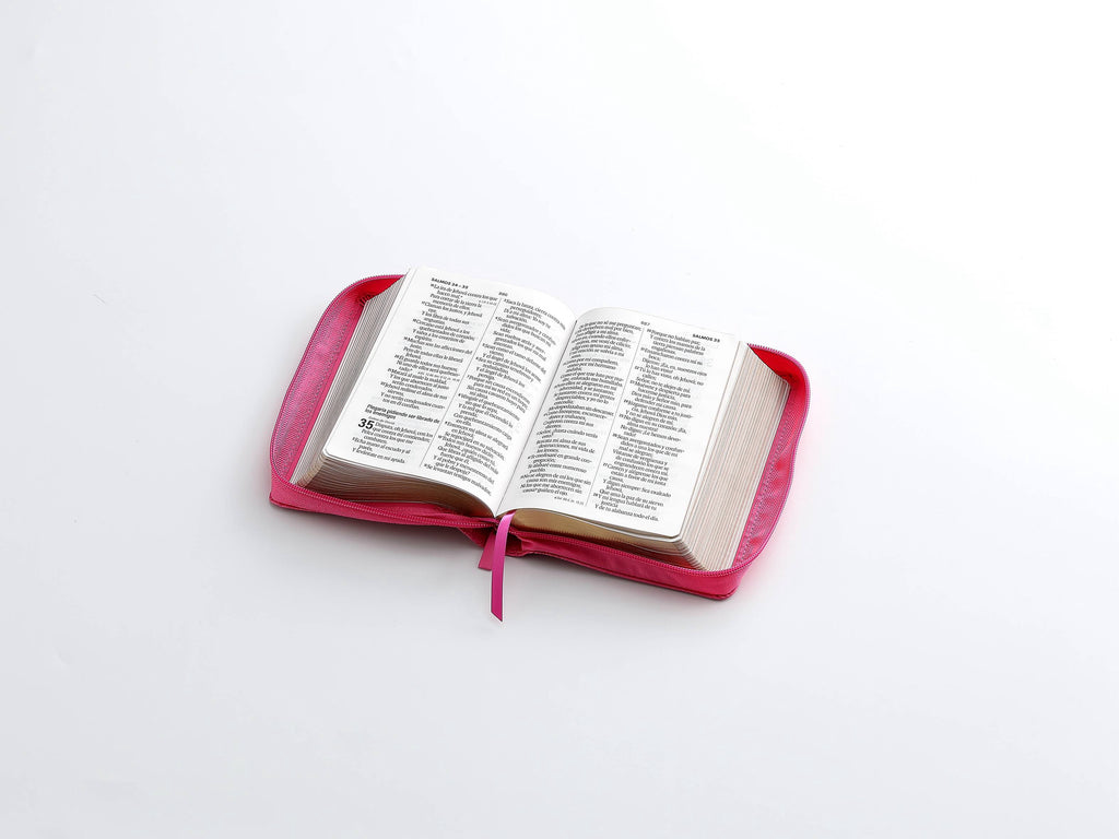 Biblia RVR60 Tamaño compacto Letra Grande 12 puntos