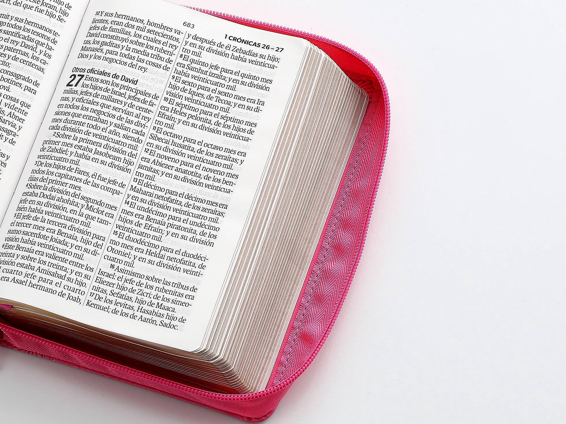 Biblia RVR60 Tamaño compacto Letra Grande 12 puntos