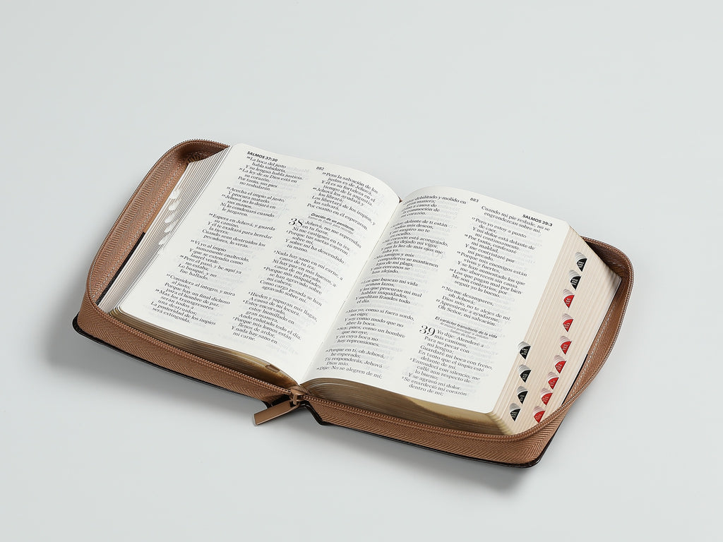 Biblia RVR60 portátil Letra Grande 11 puntos con cierre aguila