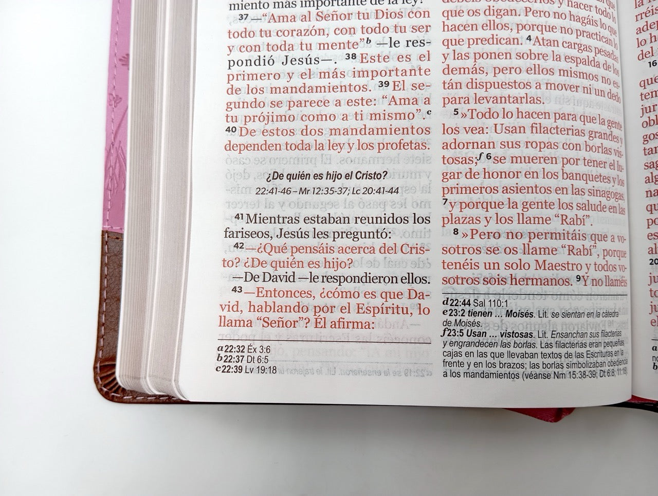 Biblia NVI Peninsular Tamaño Manual letra grande Café