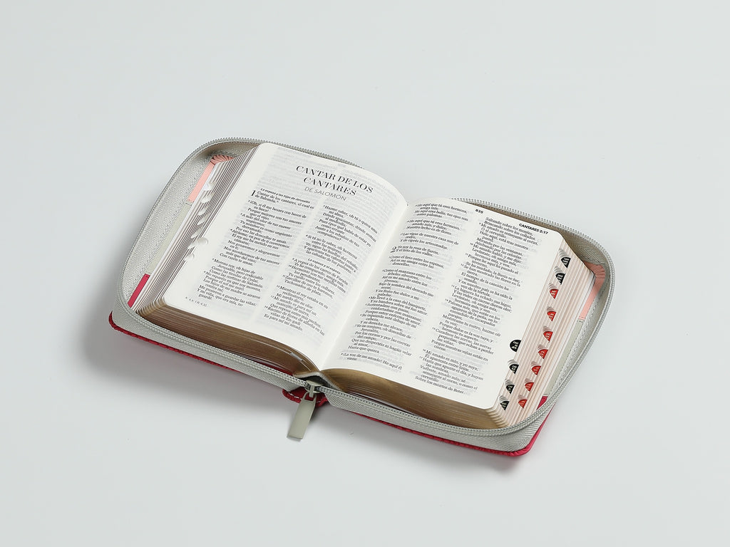 Biblia RVR60 Bolsillo i/piel Tricolor Rosa