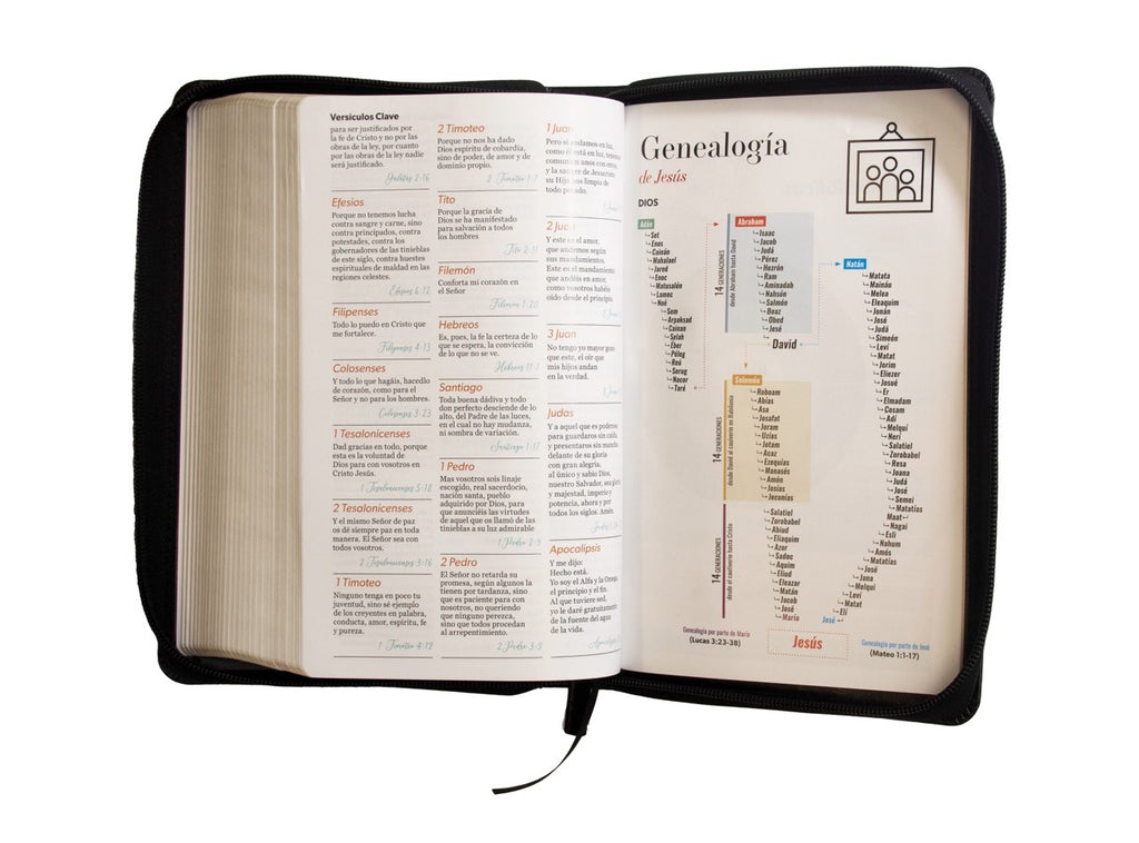 Biblia RVR60 Tamaño Manual Letra Grande con cierre