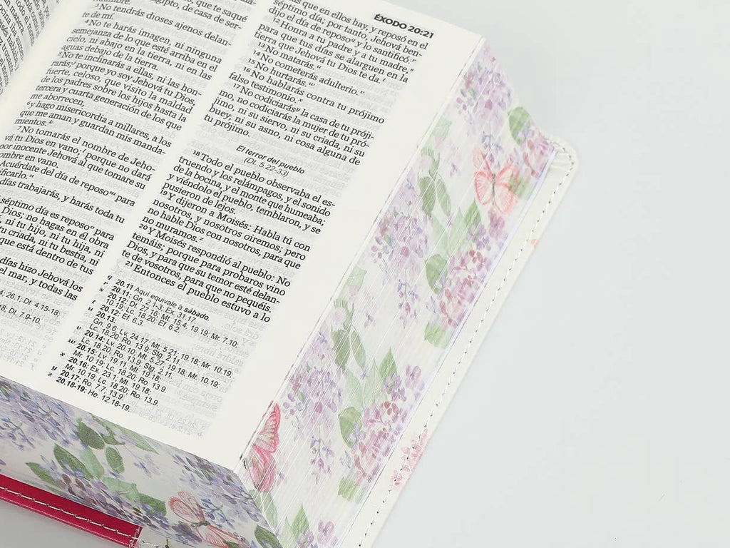 Biblia RVR60 bolsillo rosa