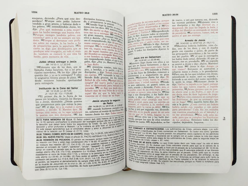 Biblia de estudio Vida Plena RVR60 dos tonos marron