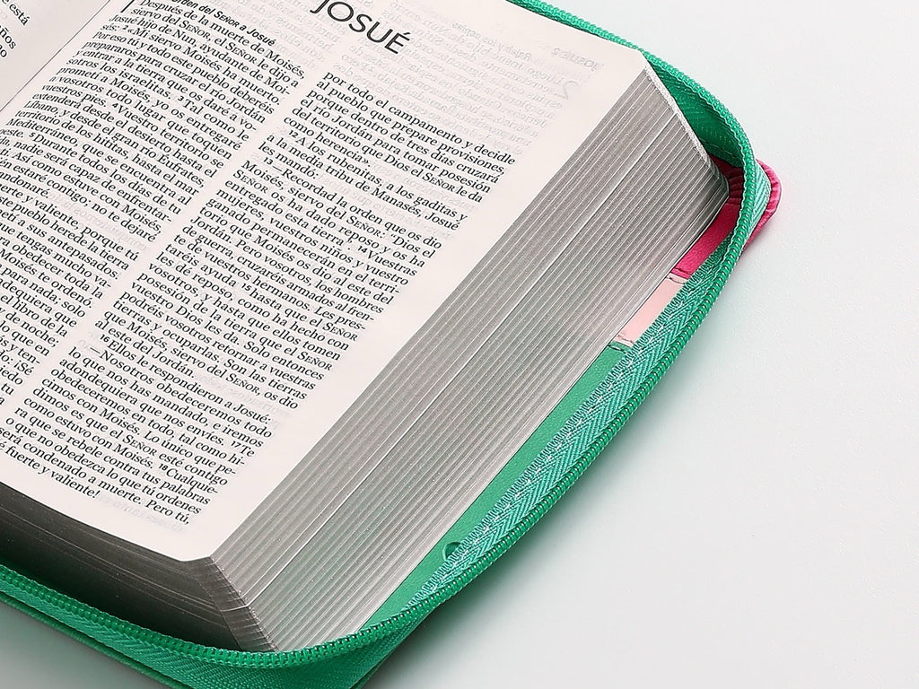 Biblia NVI Peninsular Portátil Letra Grande Tricolor Rosa
